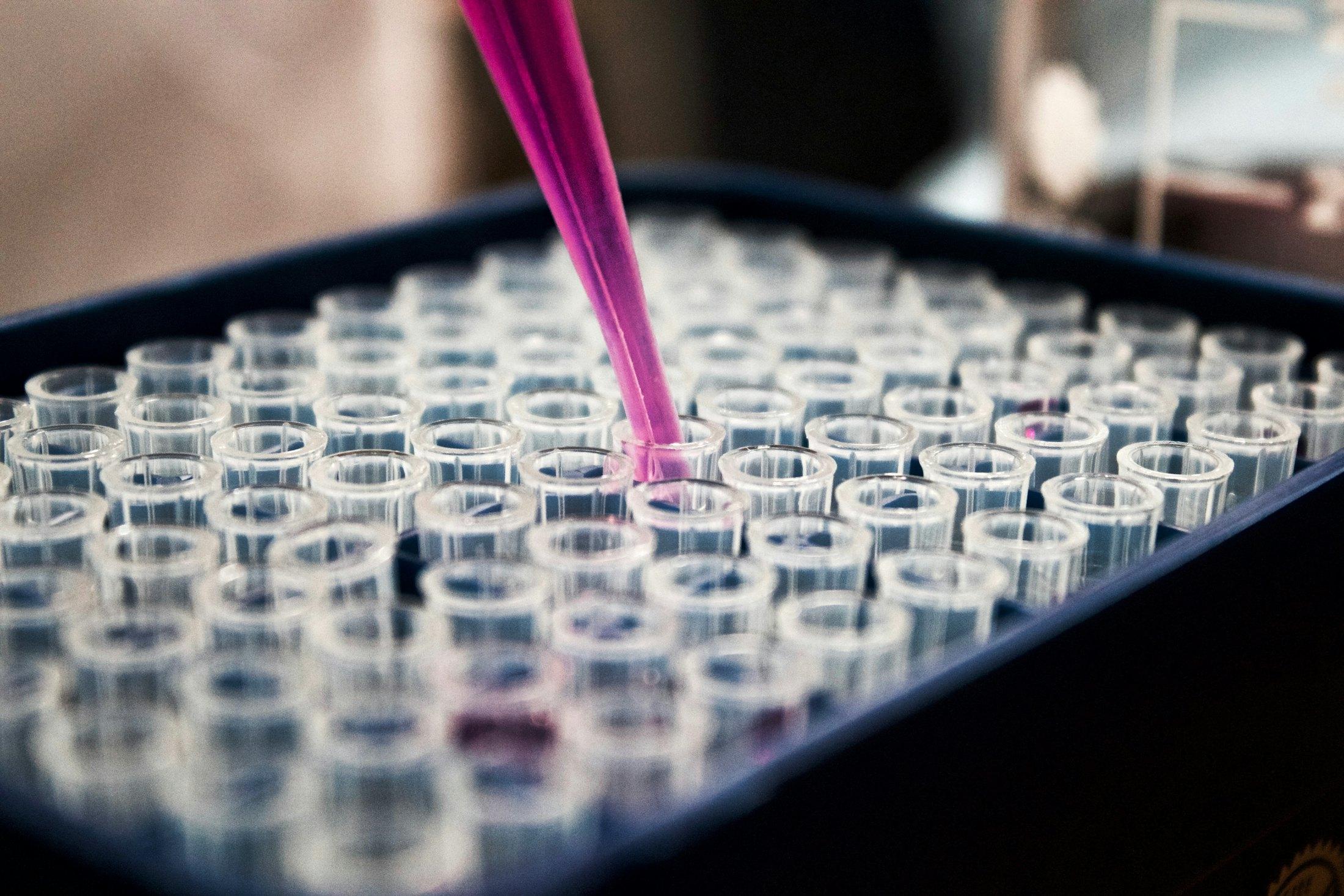 A pipette filling a tray of sample tubes in a laboratory.